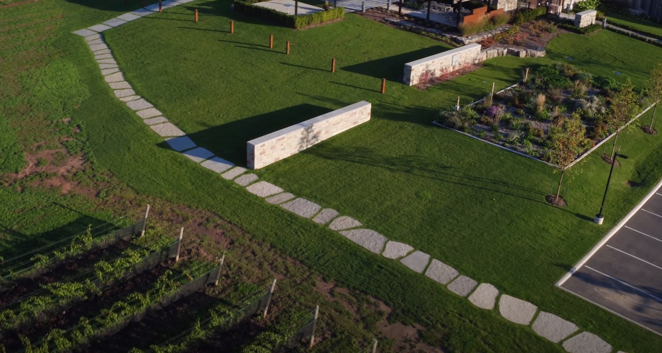 Spring & Fall Yard Cleanups services in Mission Viejo, CA