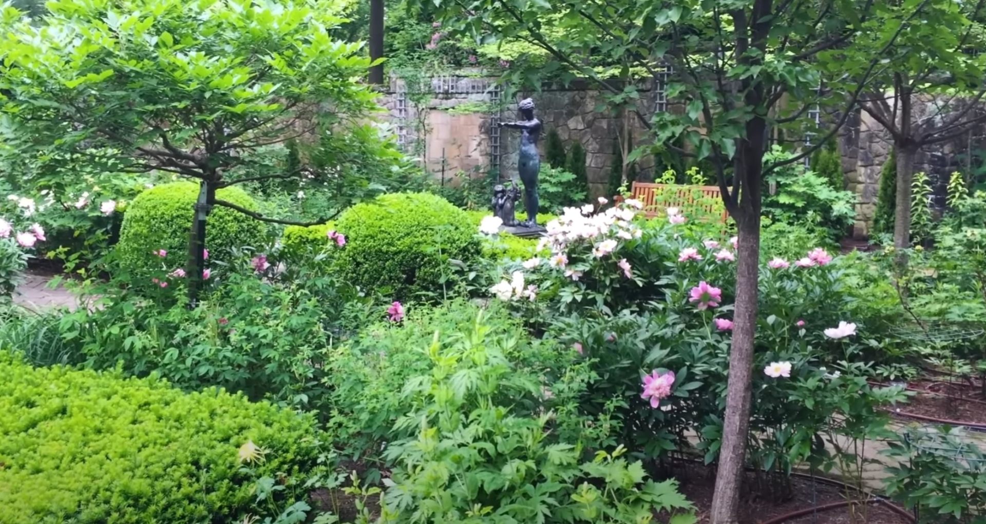 Established landscape with seasonal color displays and integrated water features Lush garden with mature trees, colorful flowers, and decorative water feature