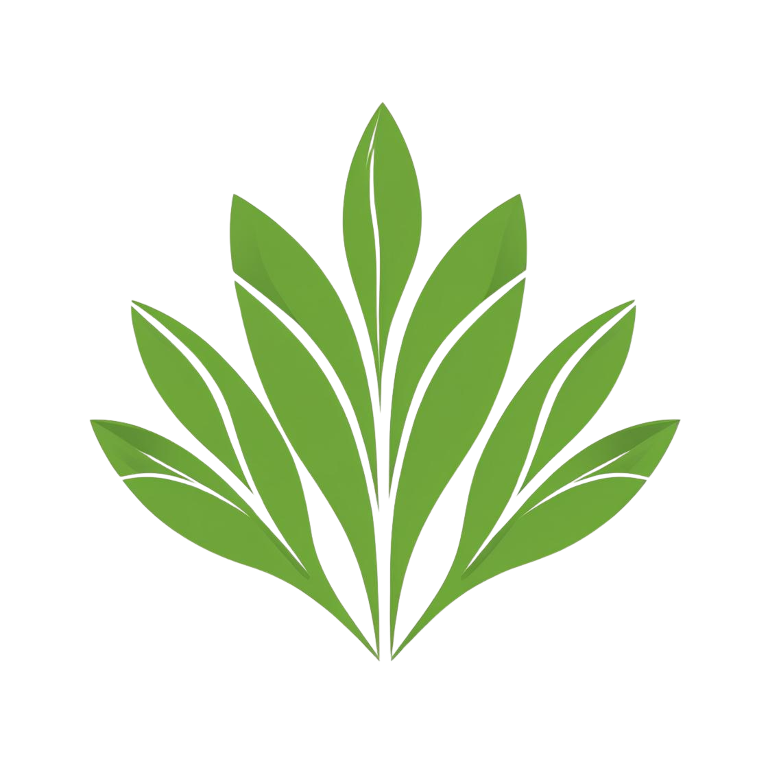 Rockledge Mission Viejo Landscaping - Professional Landscaping Services Rockledge Mission Viejo Landscaping Logo