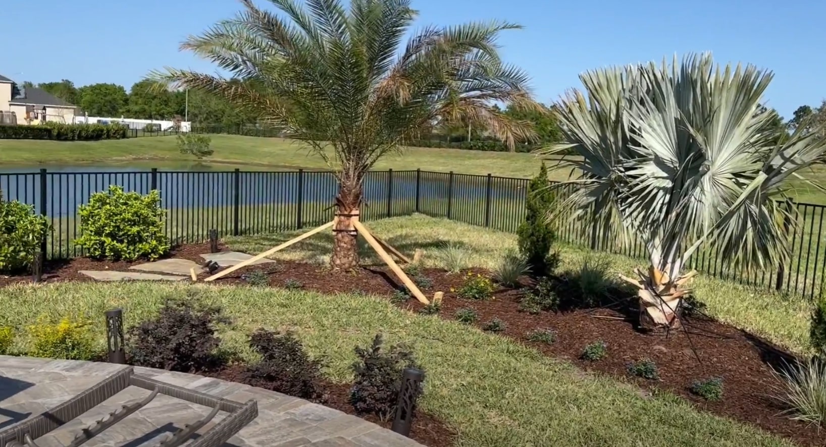 Contemporary drought-tolerant landscaping with tropical and native plant combinations Modern backyard with palm trees, native plants, and clean landscape design